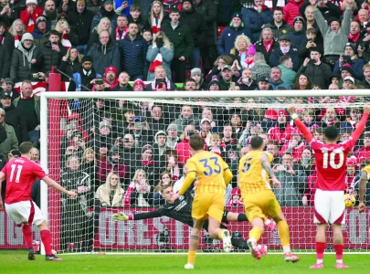 Forest thrash Brighton 7-0