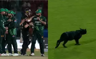 WATCH: BIZARRE Scenes In Karachi! Black Cat Halts Play During Pakistan Vs New Zealand Tri Series Final