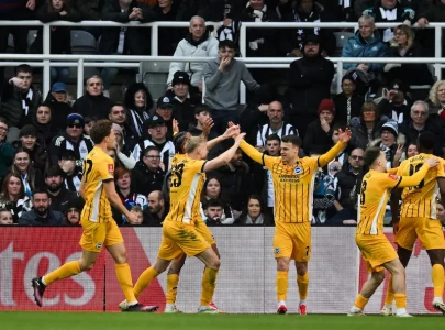 Brighton in FA Cup quarter-finals