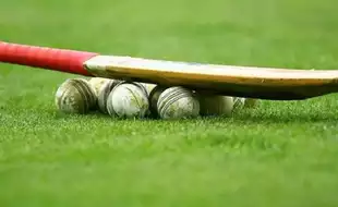 Pakistan-Origin Cricketer Junaid Zafal Khan Dies While Playing In Extreme Heat In Australia