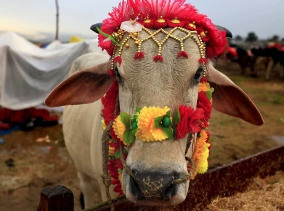 When will Eidul Adha 2025 be celebrated in Pakistan?