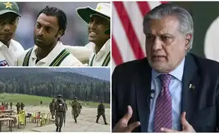 Former Pakistan Cricketer Slams PAK Deputy PM for Calling Terrorists 'Freedom Fighters', 'Open Admission Of...'