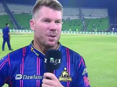 Warner laments lack of intent after defeat
