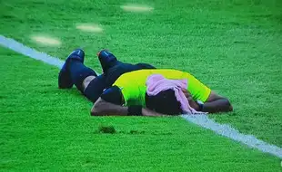 Swarm Of Bees Halts Super Cup Quarterfinal; Referee, Fans Escape Without Injury