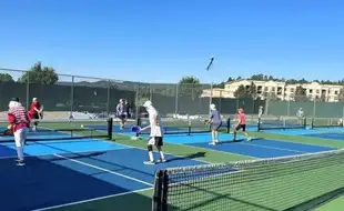 Playing Pickleball Cuts Risk Of Death By 50%: Study