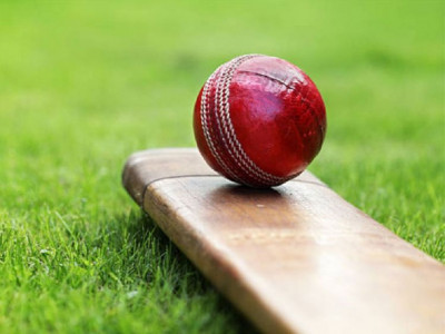 Japan cricket fights obscurity amid threats